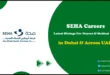 SEHA Careers