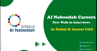 Al Naboodah Careers