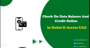 How to Check DU Data Balance