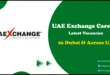 UAE Exchange Careers